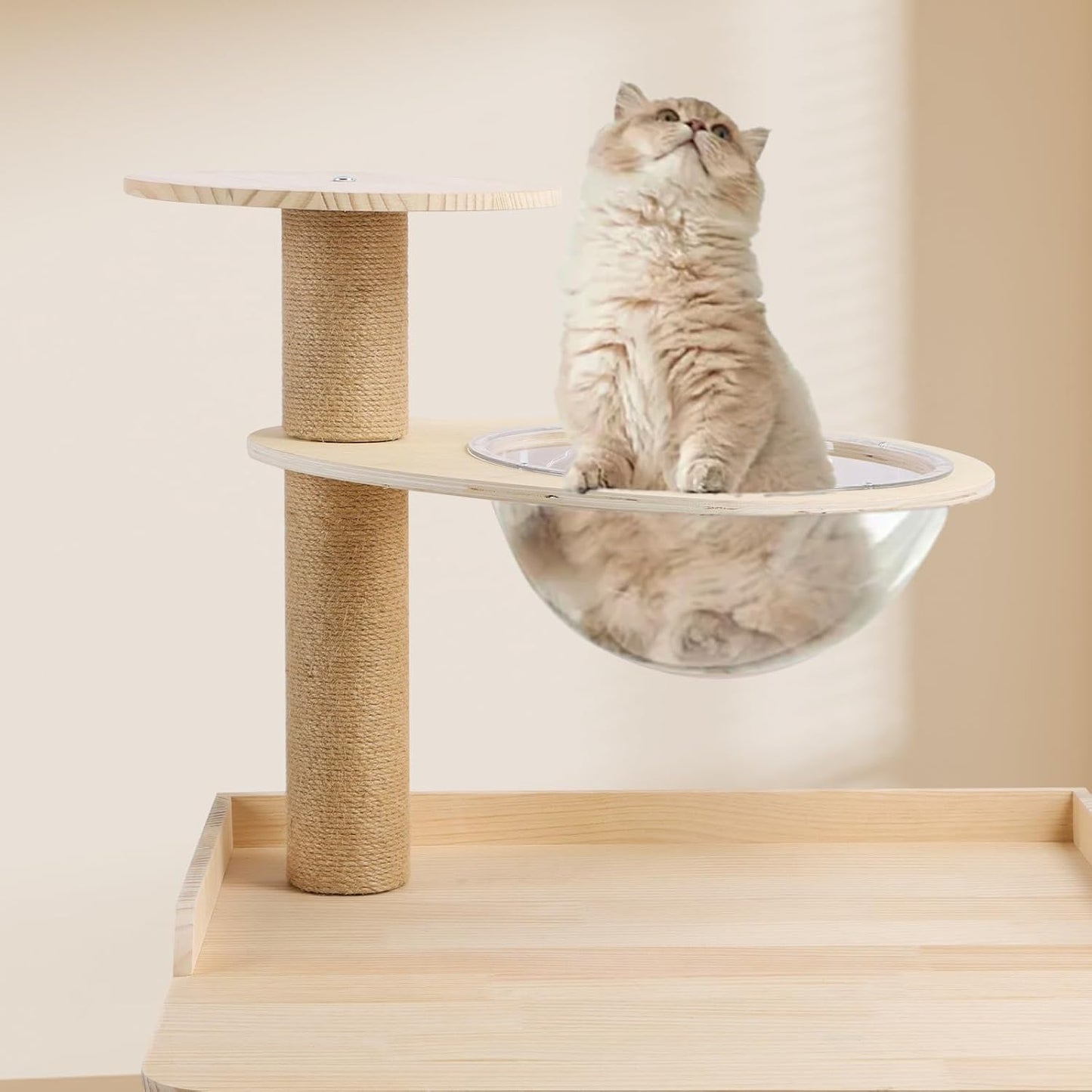 Acrylic Space Clear Capsule Dome Cover