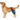 Dog Knee Brace for Torn ACL